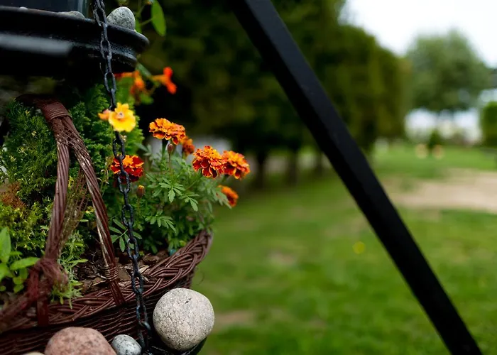 Дом отдыха Osrodek Wypoczynkowy Klif I *