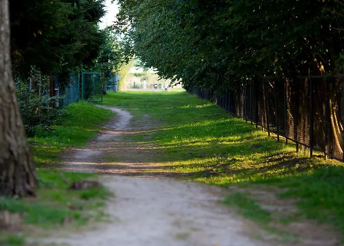 Osrodek Wypoczynkowy Klif I Дом отдыха *