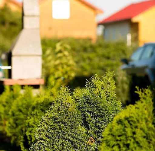 Дом отдыха Osrodek Wypoczynkowy Klif I *