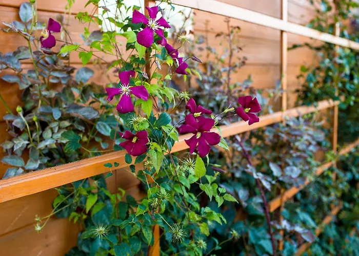 Osrodek Wypoczynkowy Klif I *