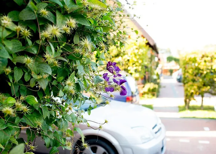 Osrodek Wypoczynkowy Klif I Дом отдыха *